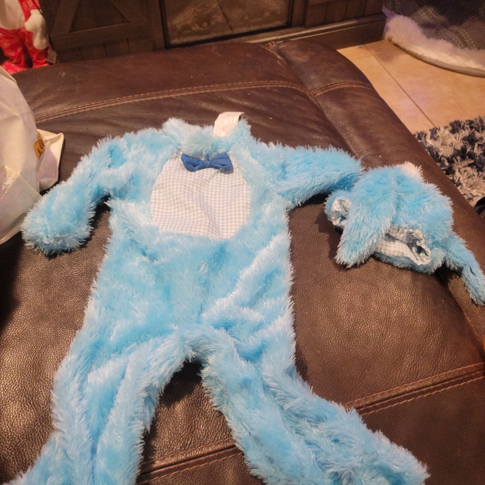 Bunny costume blue 6 to 12 months used 2x for photos carrot needs to be s